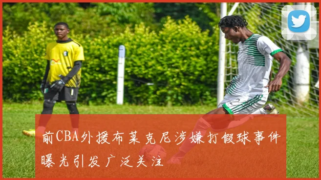 前CBA外援布莱克尼涉嫌打假球事件曝光引发广泛关注