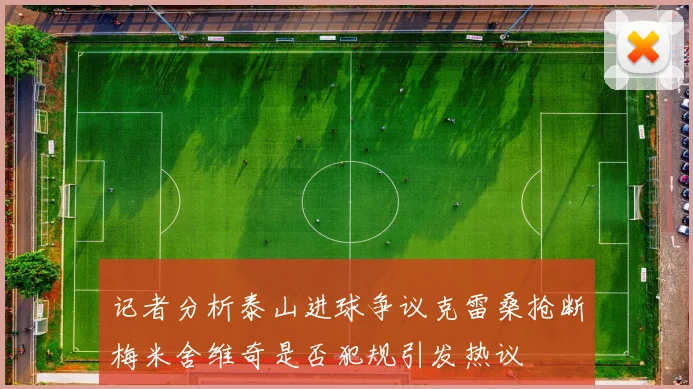 记者分析泰山进球争议克雷桑抢断梅米舍维奇是否犯规引发热议